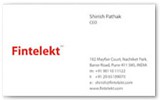 Fintelekt